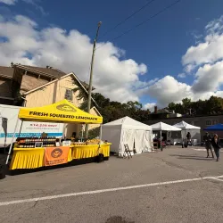 Picton Farmers' Market - Picton