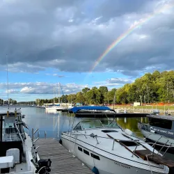 Picton Harbour - Picton