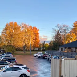 Picton Harbour - Picton