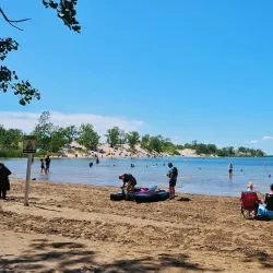 Picton Harbour - Picton
