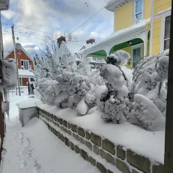 Picton Harbour - Picton