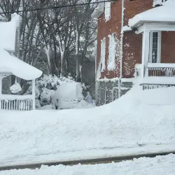 Picton Harbour - Picton