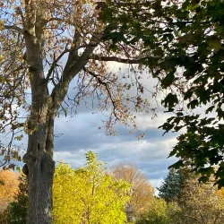 Picton Harbour - Picton