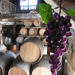 Prince Edward County Wine Region - Picton