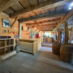 Prince Edward County Wine Region - Picton