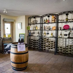 Prince Edward County Wine Region - Picton