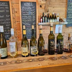 Prince Edward County Wine Region - Picton