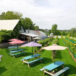 Prince Edward County Wine Region - Picton