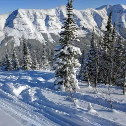 Castle Mountain Resort - Pincher Creek