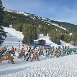 Castle Mountain - Pincher Creek