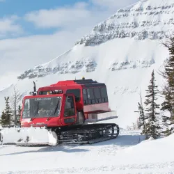 Castle Mountain - Pincher Creek