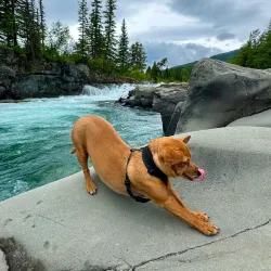 Castle Provincial Park - Pincher Creek