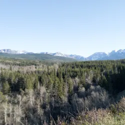 Castle Provincial Park - Pincher Creek
