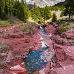 Waterton Lakes National Park - Pincher Creek