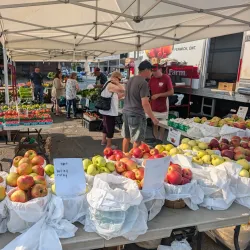 Port Colborne Farmers' Market - Port Colborne