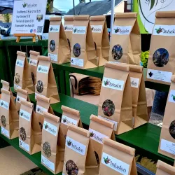 Port Colborne Farmers' Market - Port Colborne