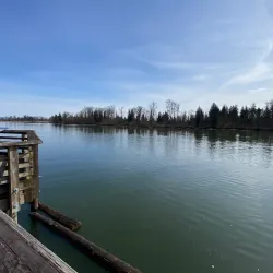 Castle Park - Port Coquitlam