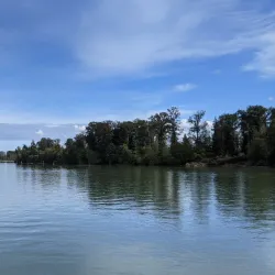 Castle Park - Port Coquitlam