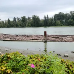 Castle Park - Port Coquitlam