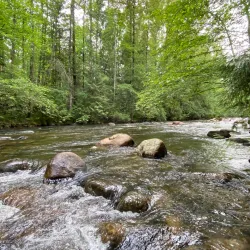 Coquitlam River - Port Coquitlam