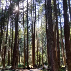Coquitlam River - Port Coquitlam