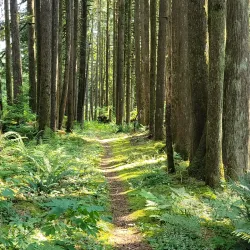 Coquitlam River - Port Coquitlam