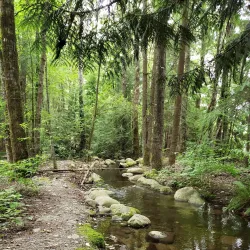 Coquitlam River - Port Coquitlam