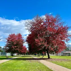 Gates Park - Port Coquitlam
