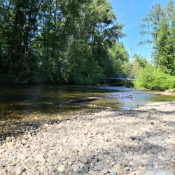 Lions Park - Port Coquitlam