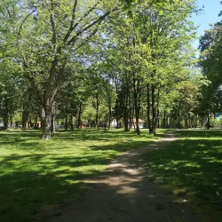 Lions Park - Port Coquitlam