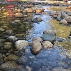 Lions Park - Port Coquitlam