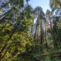 Mundy Park - Port Coquitlam