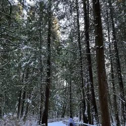 Mundy Park - Port Coquitlam