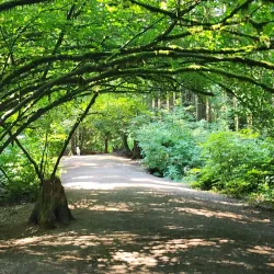 Mundy Park - Port Coquitlam