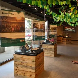 Port Coquitlam Heritage and Cultural Society - Port Coquitlam