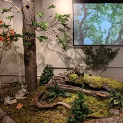 Port Coquitlam Heritage and Cultural Society - Port Coquitlam