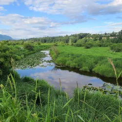 Traboulay PoCo Trail - Port Coquitlam