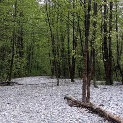 Traboulay PoCo Trail - Port Coquitlam