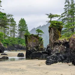 Cape Scott Provincial Park - Port Hardy