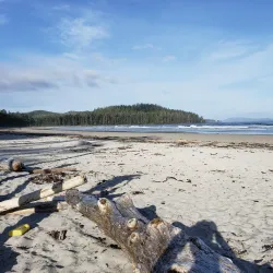 Cape Scott Provincial Park - Port Hardy