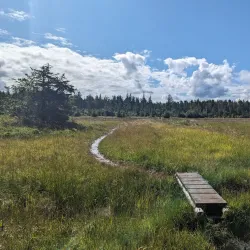 Cape Scott Provincial Park - Port Hardy