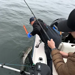 Fishing and Whale Watching Tours - Port Hardy