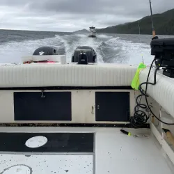 Fishing and Whale Watching Tours - Port Hardy