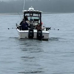 Fishing and Whale Watching Tours - Port Hardy