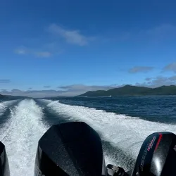 Fishing and Whale Watching Tours - Port Hardy