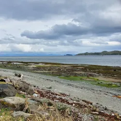 Hardy Bay Beach - Port Hardy