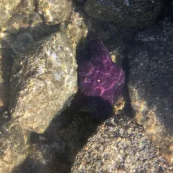 Hardy Bay Marine Provincial Park - Port Hardy