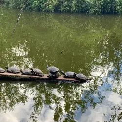 North Island Wildlife Recovery Centre - Port Hardy