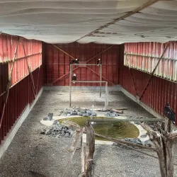 North Island Wildlife Recovery Centre - Port Hardy