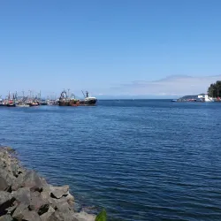 Port Hardy Harbour - Port Hardy